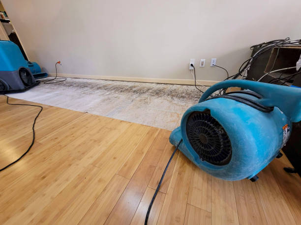 Professional Structural Drying technician working in Rock Spring, GA